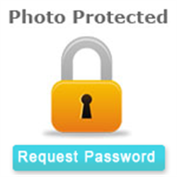 CM826739